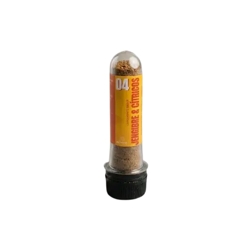 Condimento SHIO jengibre y cítricos x 12 uds